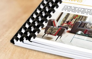 La Tortue Zen Feng Shui Traditionnel Rapport Conseil habitation